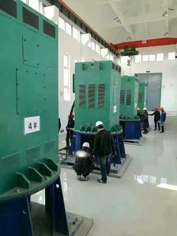 襄阳某污水处理厂使用我厂的立式高压电机安装现场哪里有卖